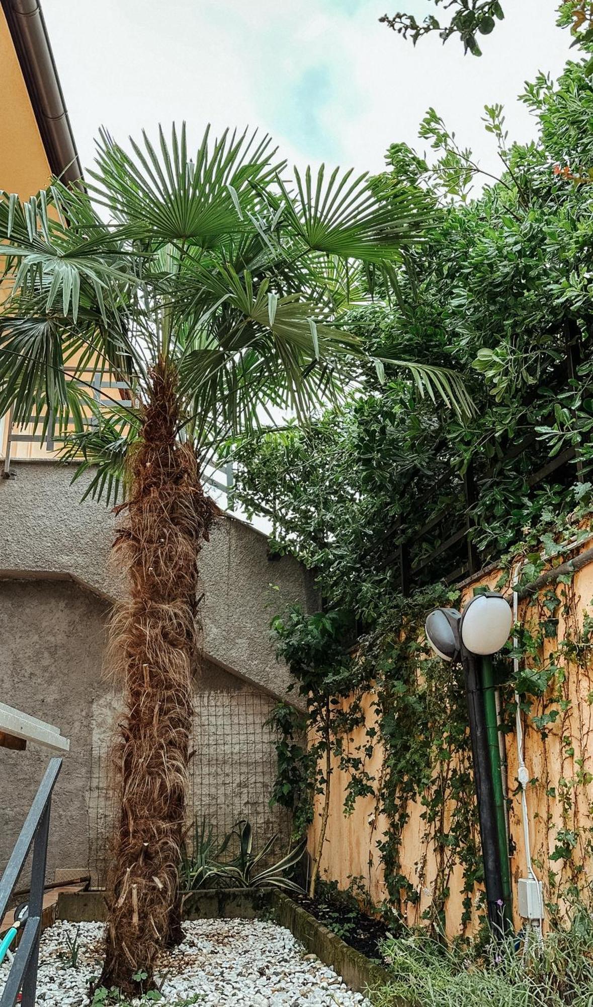Apartmani Jelena Opatija Bagian luar foto